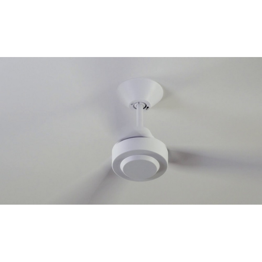 BAYSIDE 213015 - Ventilador de teto CALYPSO branco