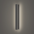 Brilagi - Aplique de parede LED para exterior LINEAR LED/12W/230V 4000K IP65 50 cm antracite