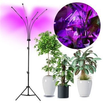 Brilagi - Candeeiro de pé flexível regulável LED para plantas em crescimento VITABLOOM 4xLED/7,5W/230V preto