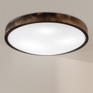 Brilagi - Candeeiro de tecto CARVALHO SLIM SMOKEY 3xE27/60W/230V carvalho Ø 47,5 cm