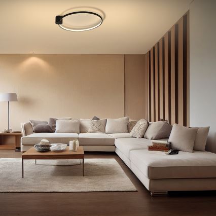 Brilagi - Candeeiro de tecto LED RINGO LED/18W/230V diâmetro 50 cm