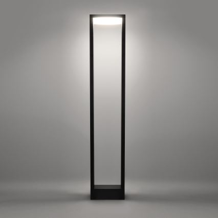 Brilagi - Candeeiro exterior LED RAGUSA LED/7W/230V 3000/4000/6000K antracite IP54 80 cm