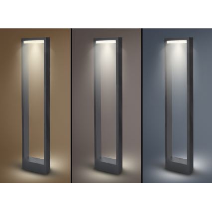 Brilagi - Candeeiro exterior LED RAGUSA LED/7W/230V 3000/4000/6000K antracite IP54 80 cm