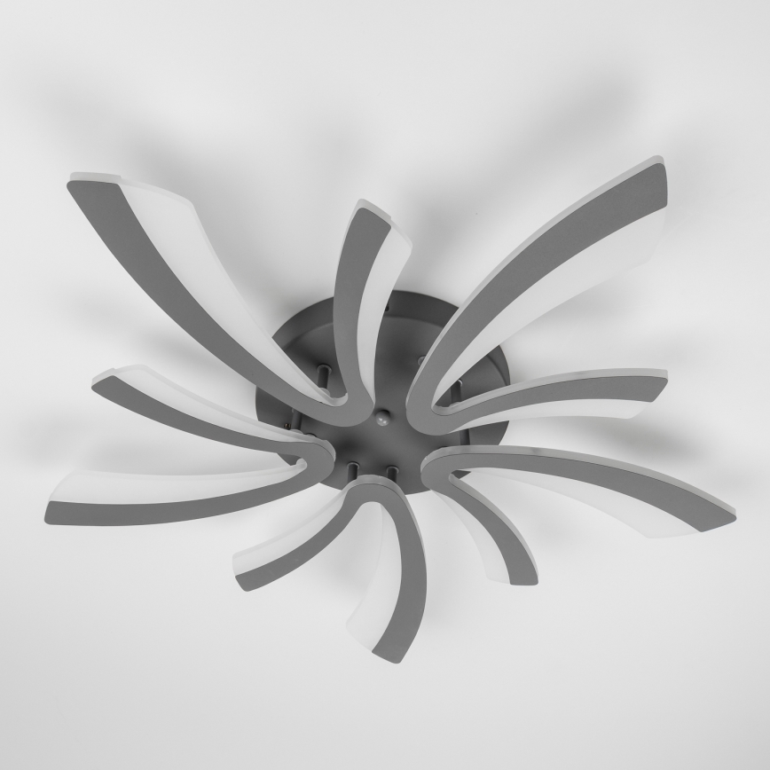 Brilagi - Candeeiro integrado LED com regulação TWIST LED/55W/230V 3000-6500K antracite + comando