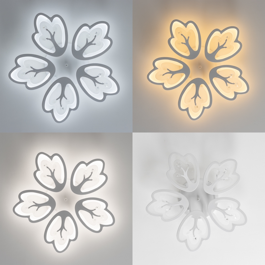 Brilagi - Candeeiro integrado LED com regulação TWIST LED/80W/230V 3000-6500K branco + comando