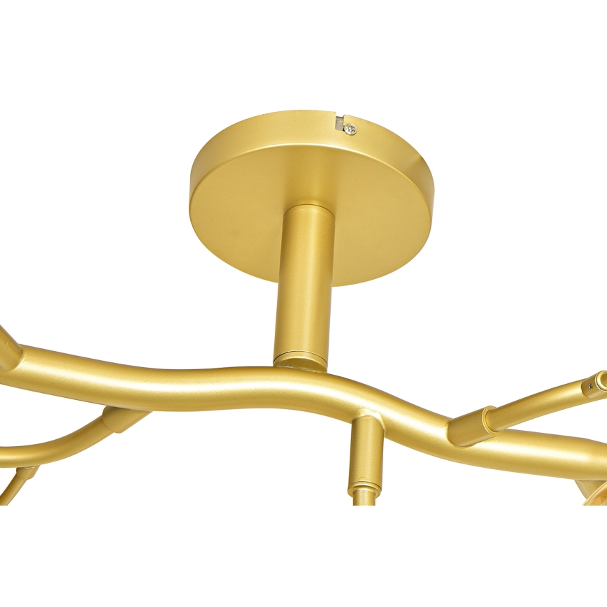 Brilagi - Candeeiro  integrado LED MISTEL 15xG9/3W/230V dourado/branco
