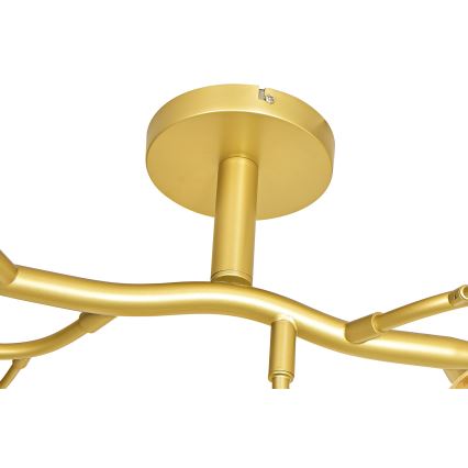 Brilagi - Candeeiro  integrado LED MISTEL 15xG9/3W/230V dourado