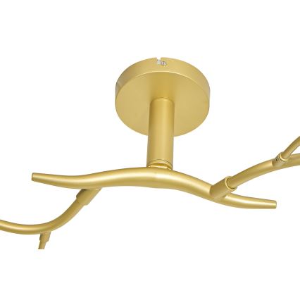 Brilagi - Candeeiro  integrado LED MISTEL 6xG9/3W/230V dourado