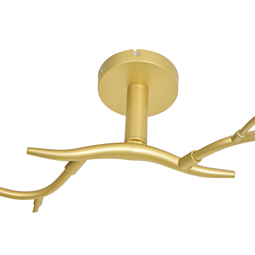 Brilagi - Candeeiro  integrado LED MISTEL 6xG9/3W/230V dourado