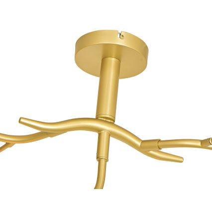 Brilagi - Candeeiro  integrado LED MISTEL 9xG9/3W/230V dourado