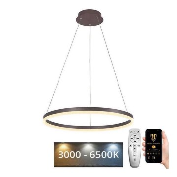 Brilagi - Candeeiro suspenso LED com regulação CIRCLE LED/42W/230V 3000-6500K castanho + comando