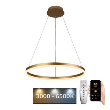 Brilagi - Candeeiro suspenso LED com regulação CIRCLE LED/42W/230V 3000-6500K + comando
