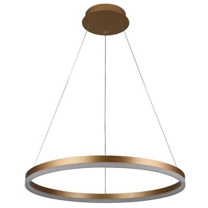 Brilagi - Candeeiro suspenso LED com regulação CIRCLE LED/42W/230V 3000-6500K + comando