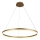 Brilagi - Candeeiro suspenso LED com regulação CIRCLE LED/55W/230V 3000-6500K dourado + comando