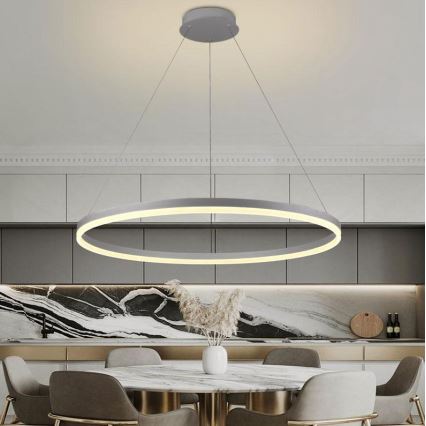 Brilagi - Candeeiro suspenso LED com regulação CIRCLE LED/55W/230V 3000-6500K prateado + comando