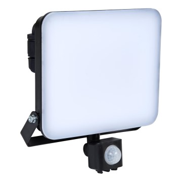 Brilagi - Holofote LED com sensor ELARA PRO LED/50W/230V IP65