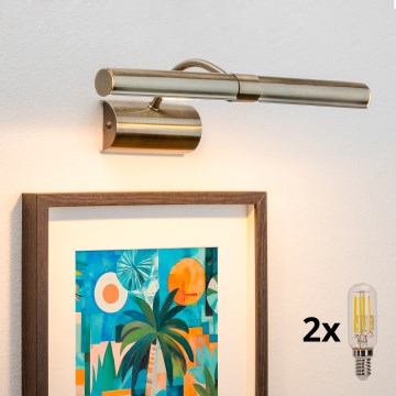 Brilagi - Iluminação de ilustração LED DANAE 2xE14/4W/230V 3000K bronze