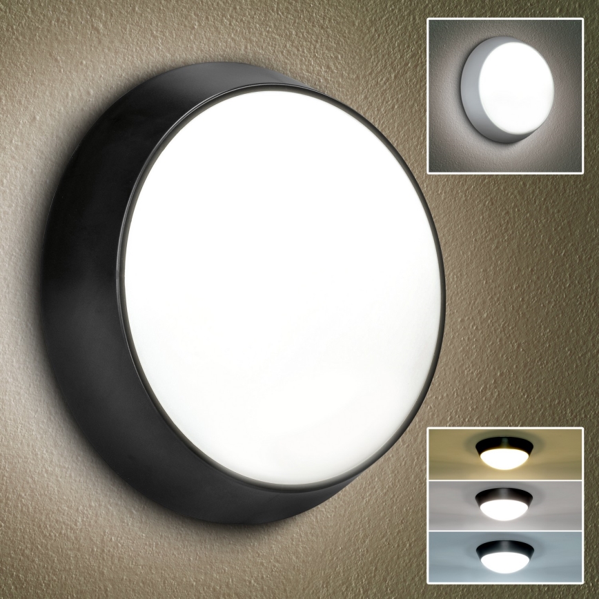 Brilagi - Iluminação de parede exterior LED 2em1 BULKHEAD LED/20W/230V 3000/4000/6000K IP65