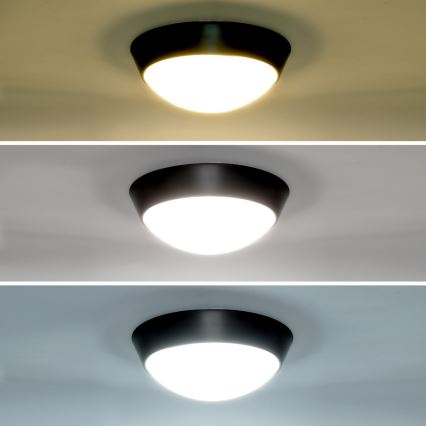 Brilagi - Iluminação de parede exterior LED 2em1 BULKHEAD LED/20W/230V 3000/4000/6000K IP65