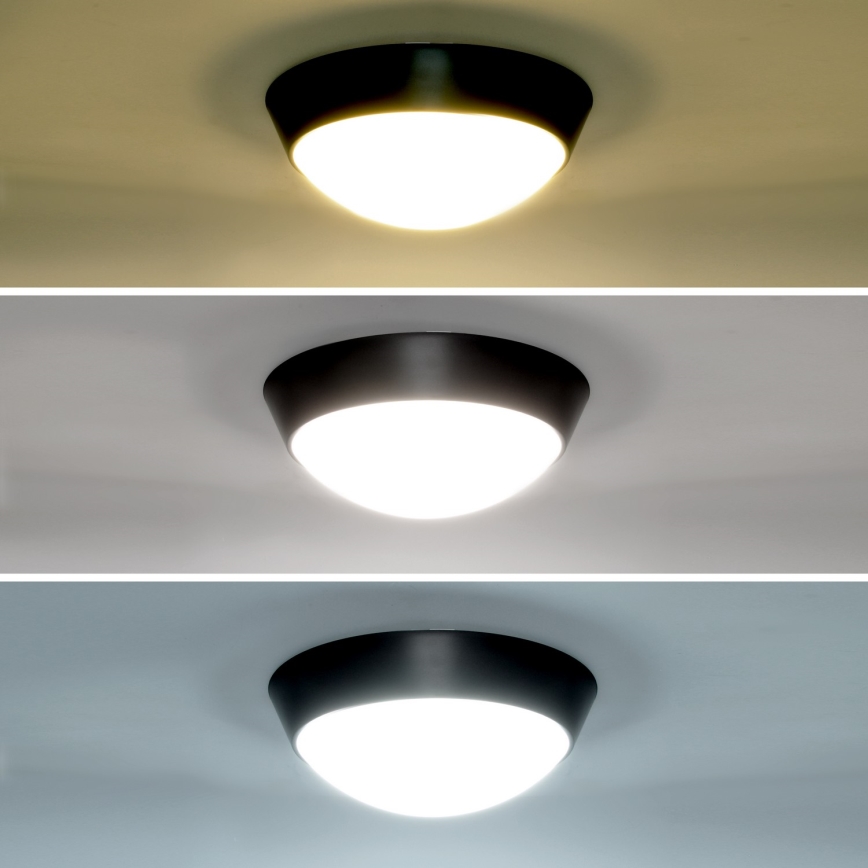 Brilagi - Iluminação de parede exterior LED 2em1 BULKHEAD LED/20W/230V 3000/4000/6000K IP65