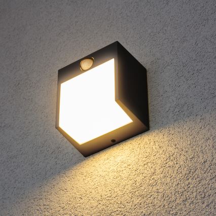 Brilagi - Iluminação de parede exterior LED com sensor TERNI LED/12W/230V preto IP44