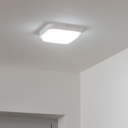 Brilagi - Iluminação de parede exterior LED LED/20W/230V IP54