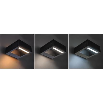 Brilagi - Iluminação de parede exterior LED RAGUSA LED/7W/230V 3000/4000/6000K IP54