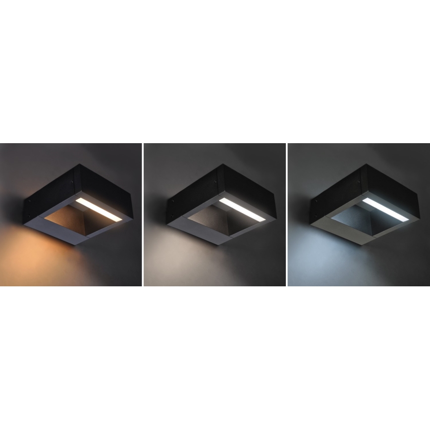 Brilagi - Iluminação de parede exterior LED RAGUSA LED/7W/230V 3000/4000/6000K IP54