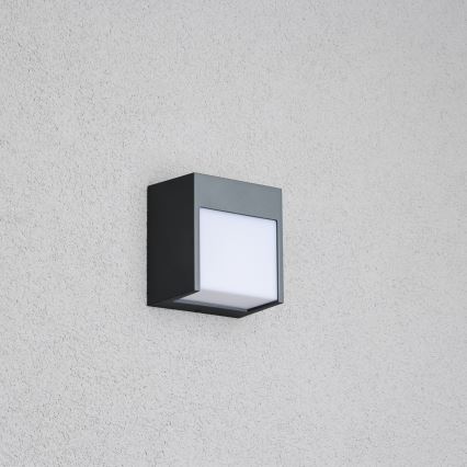 Brilagi - Iluminação de parede exterior LED TERNI LED/12W/230V antracite IP44