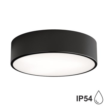 Brilagi - Iluminação de teto de casa de banho CLARE 2xE27/24W/230V diâmetro 30 cm preto IP54