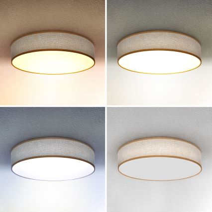 Brilagi - Iluminação de teto LED com regulação CARMEN LED/48W/230V 3000-6500K diâmetro 40 cm + comando