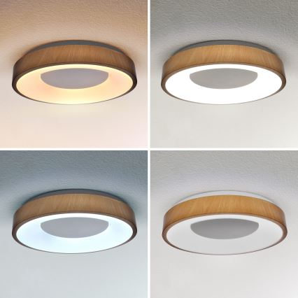 Brilagi - Iluminação de teto LED com regulação DORIA LED/48W/230V 3000-6500K diâmetro 39 cm + comando