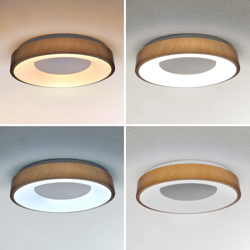 Brilagi - Iluminação de teto LED com regulação DORIA LED/48W/230V 3000-6500K diâmetro 39 cm + comando