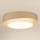 Brilagi - Iluminação de teto LED com regulação DOVER SHINE LED/24W/230V 3000/4000/6500K cinzento/creme + comando
