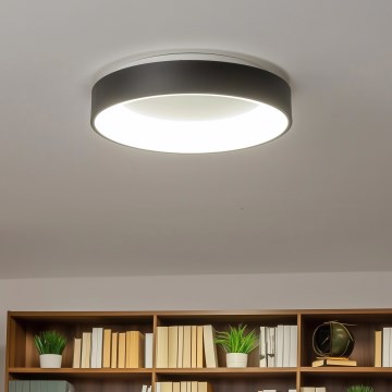 Brilagi - Iluminação de teto LED com regulação FALCON LED/40W/230V 3000-6500K preta + controlo remoto