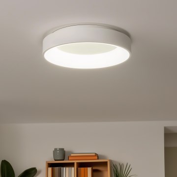 Brilagi - Iluminaçao de teto LED com regulação FALCON LED/80W/230V 3000-6500K branco + controlo remoto