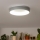 Brilagi - Iluminaçao de teto LED com regulação FALCON LED/80W/230V 3000-6500K cinzenta + controlo remoto