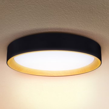 Brilagi - Iluminação de teto LED com regulação LARIOS LED/60W/230V 3000-6500K ø 49 cm preto + comando