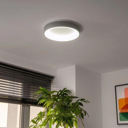 Brilagi - Iluminação de teto LED com regulação FALCON LED/40W/230V 3000-6500K cinzenta + controlo remoto