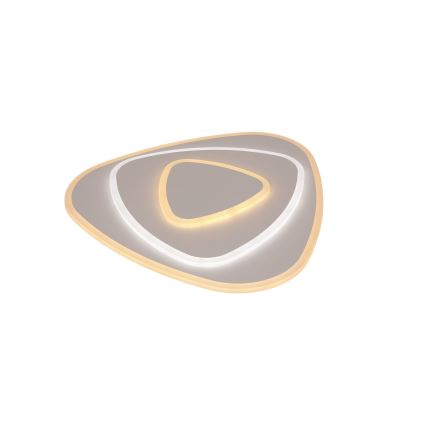 Brilagi - Iluminação de teto LED com regulação MODERN LED/58W/230V 2700-6500K + comando