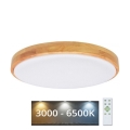 Brilagi - Iluminação de teto LED com regulação PINE LED/24W/230V + controlo remoto