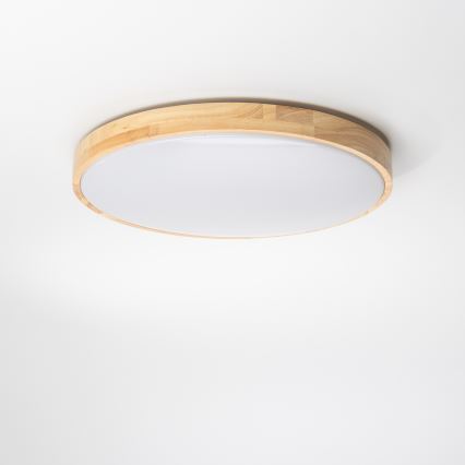 Brilagi - Iluminação de teto LED com regulação PINE LED/24W/230V + controlo remoto