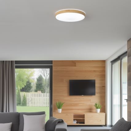 Brilagi - Iluminação de teto LED com regulação PINE LED/24W/230V + controlo remoto