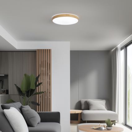 Brilagi - Iluminação de teto LED com regulação PINE LED/24W/230V + controlo remoto