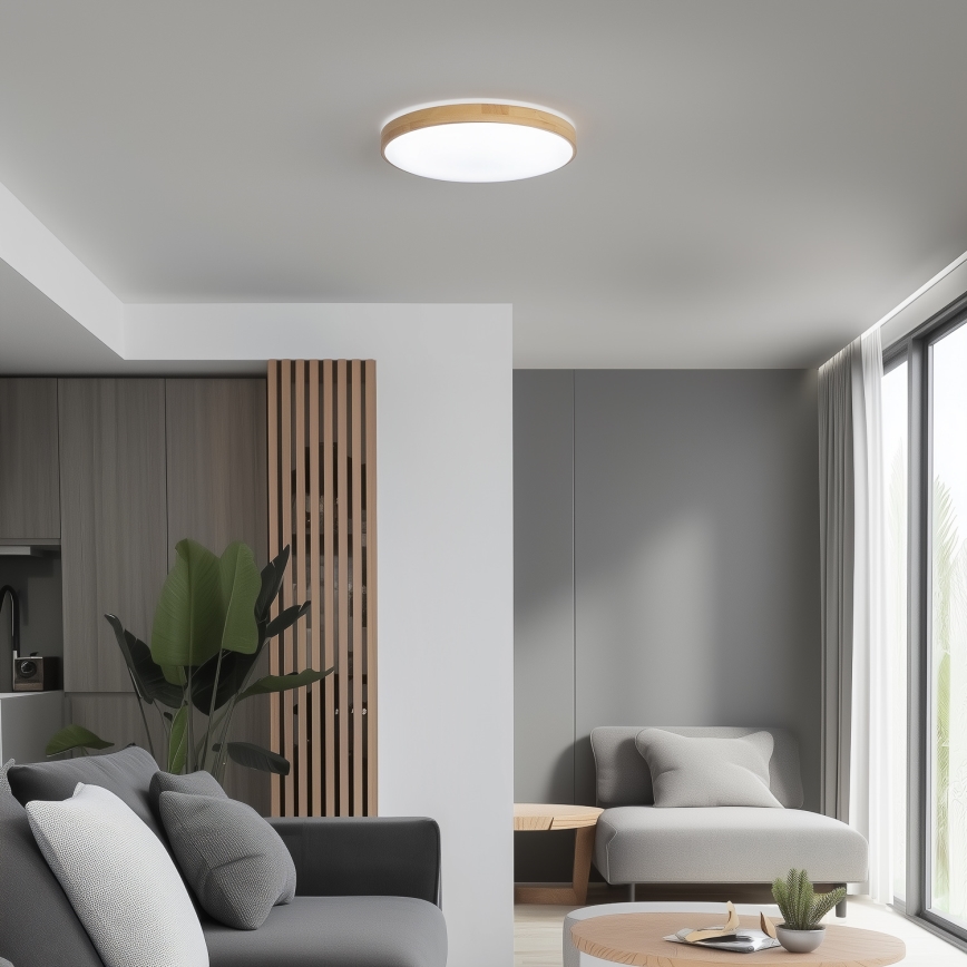 Brilagi - Iluminação de teto LED com regulação PINE LED/24W/230V + controlo remoto
