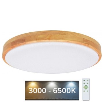 Brilagi - Iluminação de teto LED com regulação PINE LED/60W/230V + controlo remoto