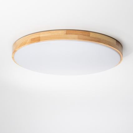 Brilagi - Iluminação de teto LED com regulação PINE LED/60W/230V + controlo remoto