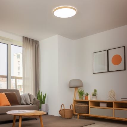 Brilagi - Iluminação de teto LED com regulação PINE LED/60W/230V + controlo remoto