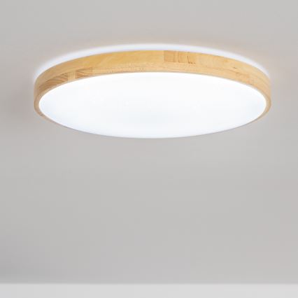 Brilagi - Iluminação de teto LED com regulação PINE LED/60W/230V + controlo remoto