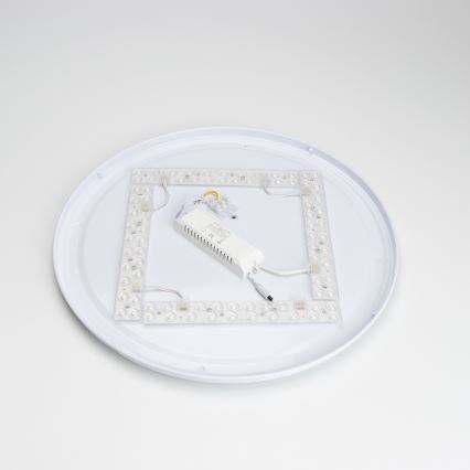 Brilagi - Iluminação de teto LED com regulação PINE LED/60W/230V + controlo remoto